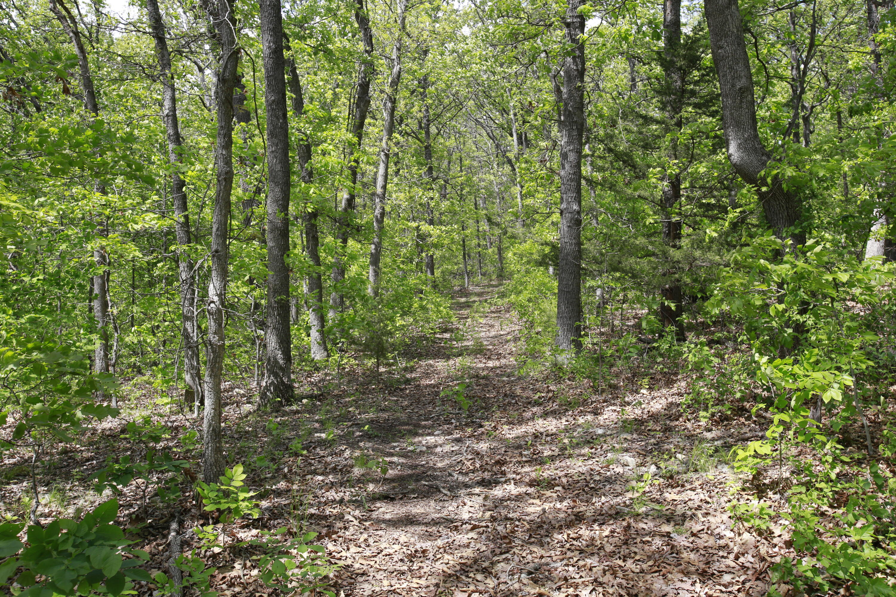 Tbd Southeast 1121 Road Property Photo 13