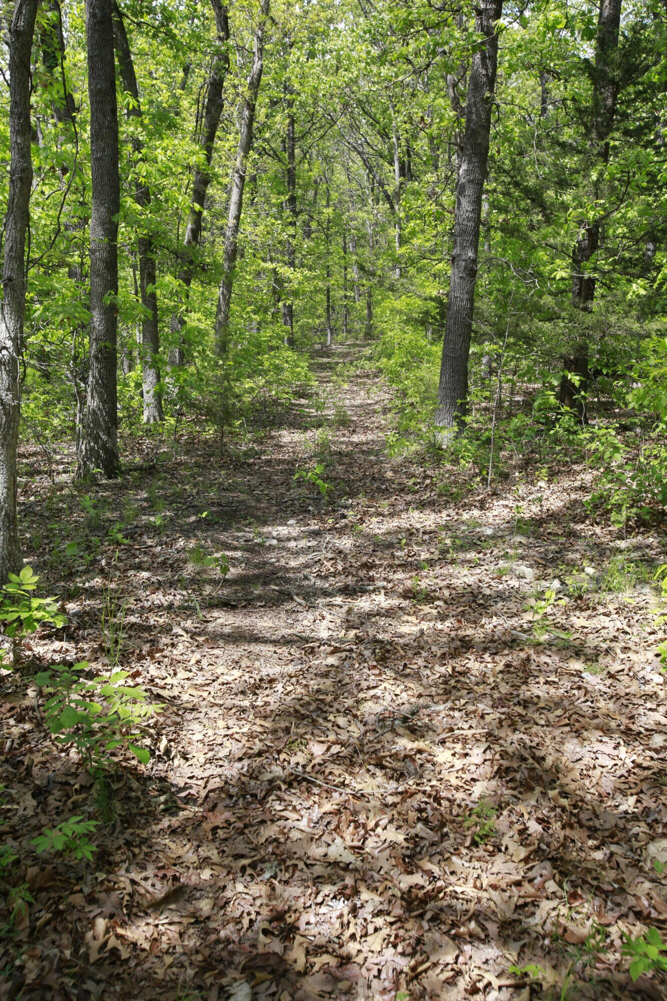 Tbd Southeast 1121 Road Property Photo 14