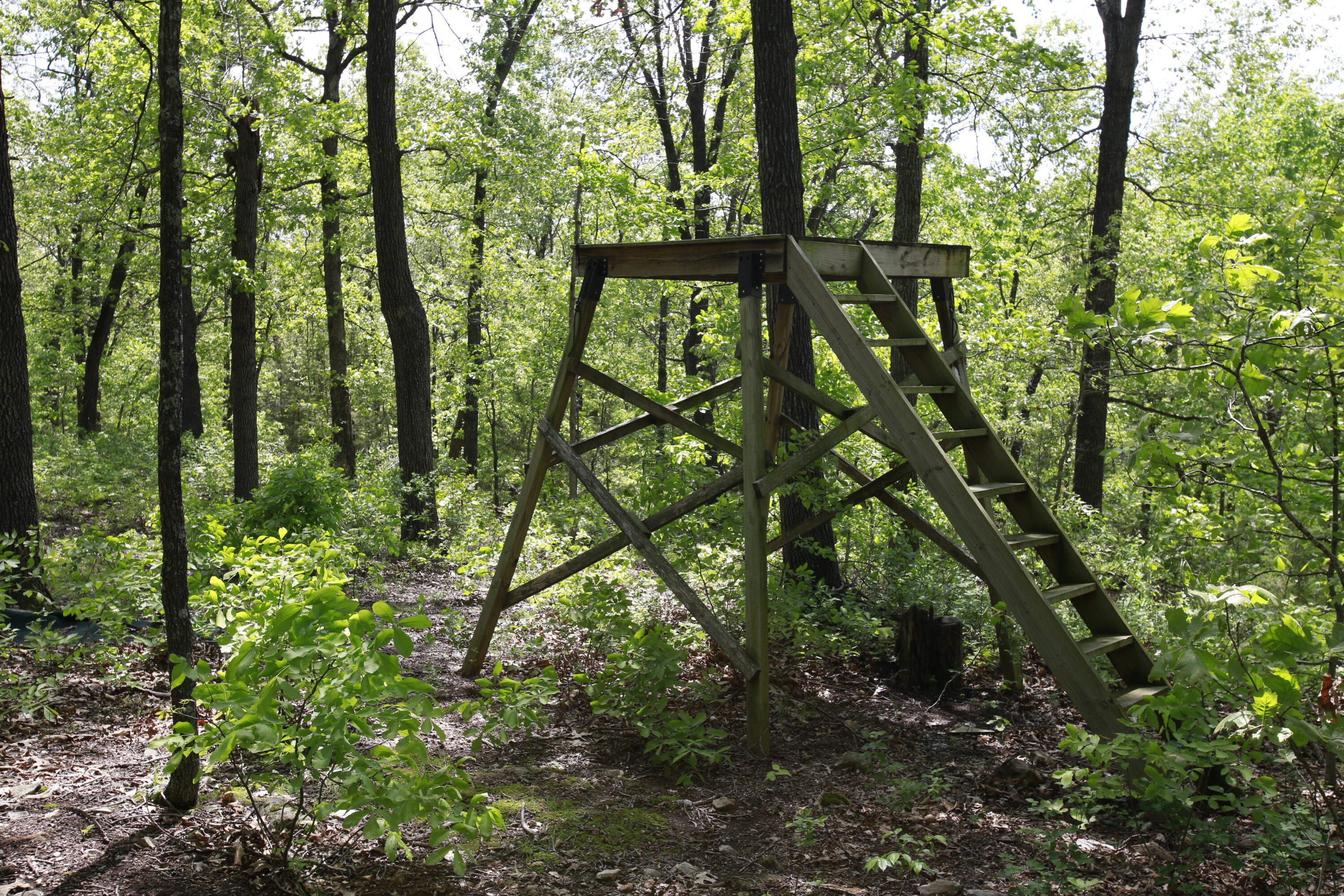 Tbd Southeast 1121 Road Property Photo 15