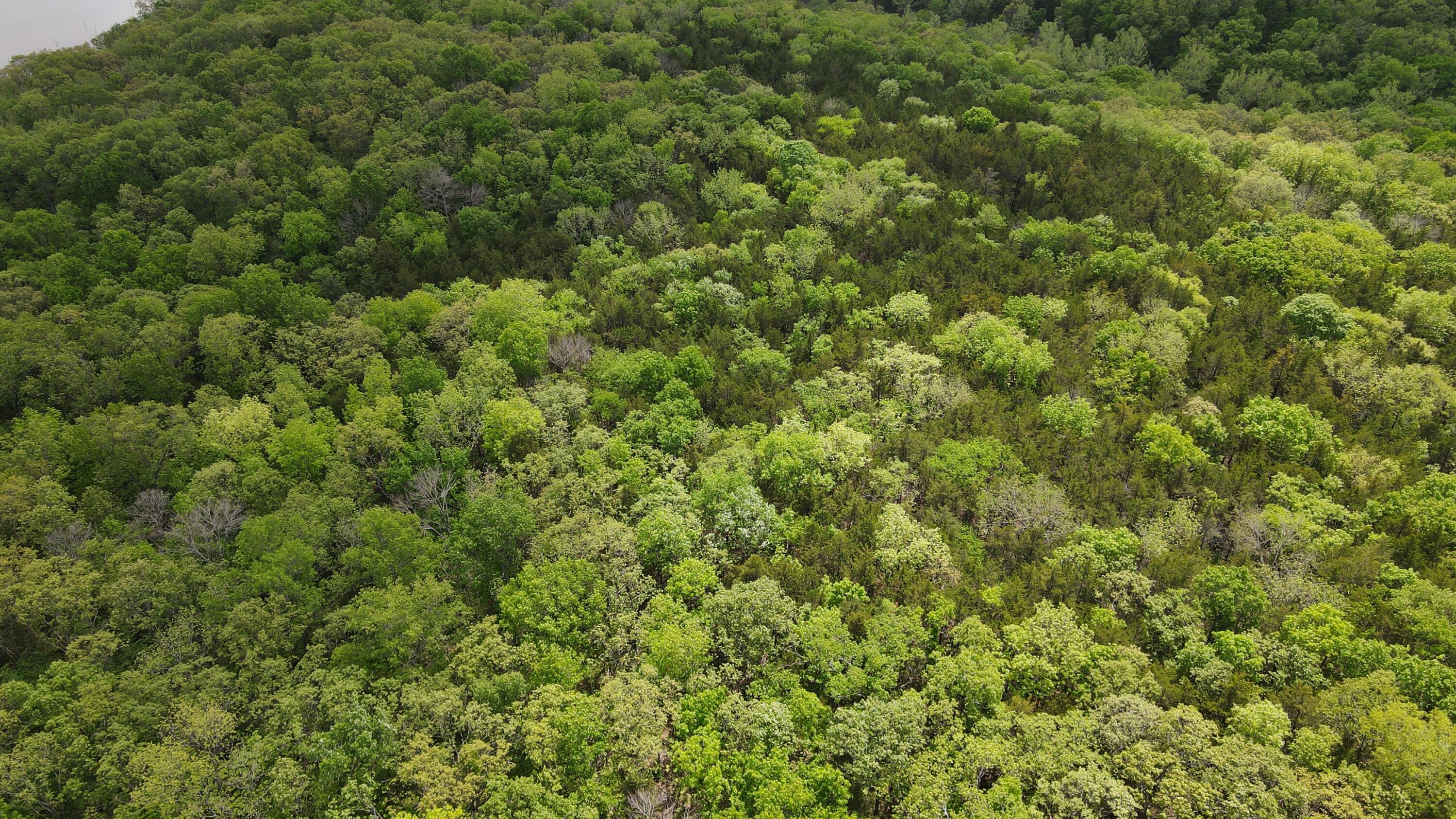 Tbd Southeast 1121 Road Property Photo 18