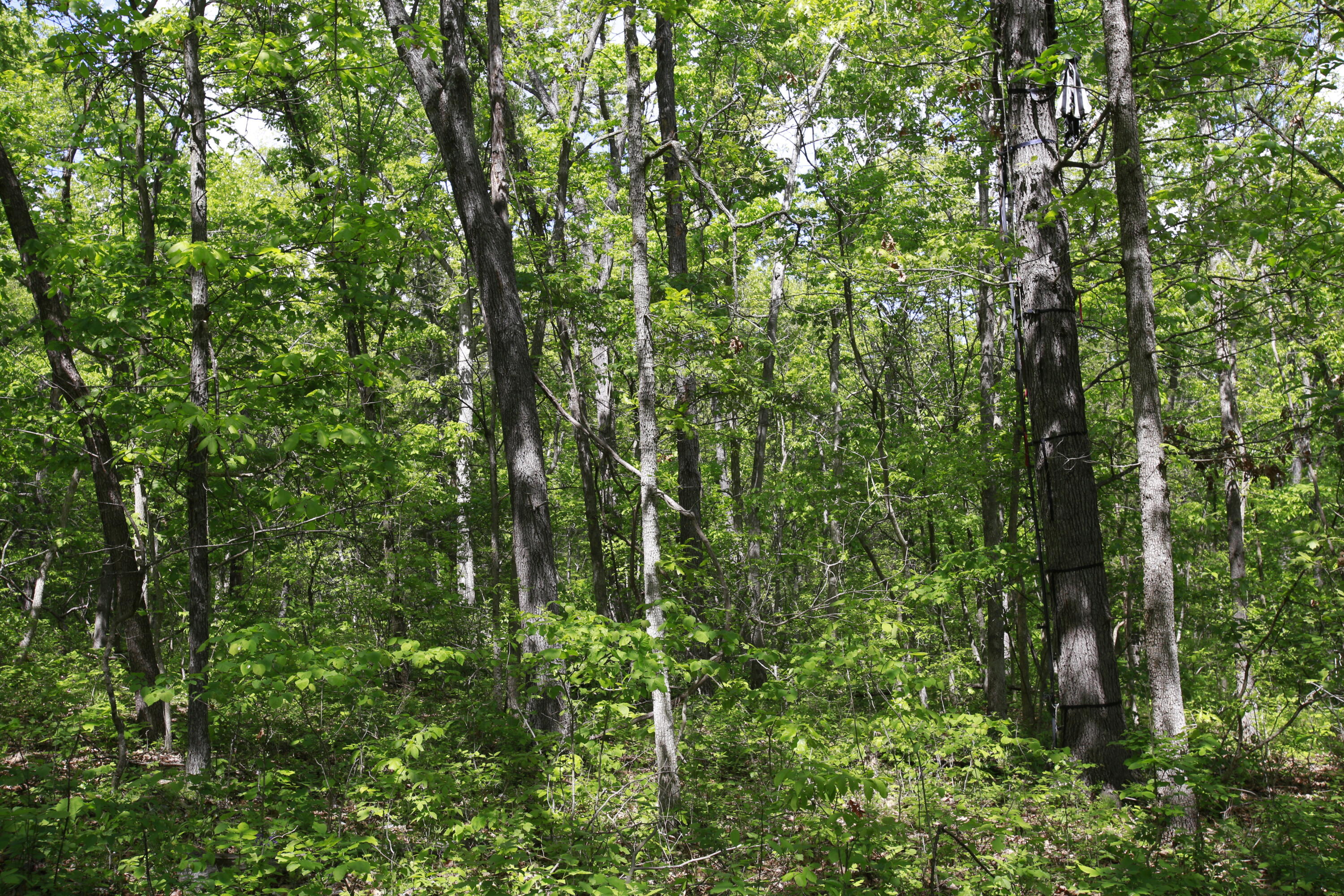 Tbd Southeast 1121 Road Property Photo 20