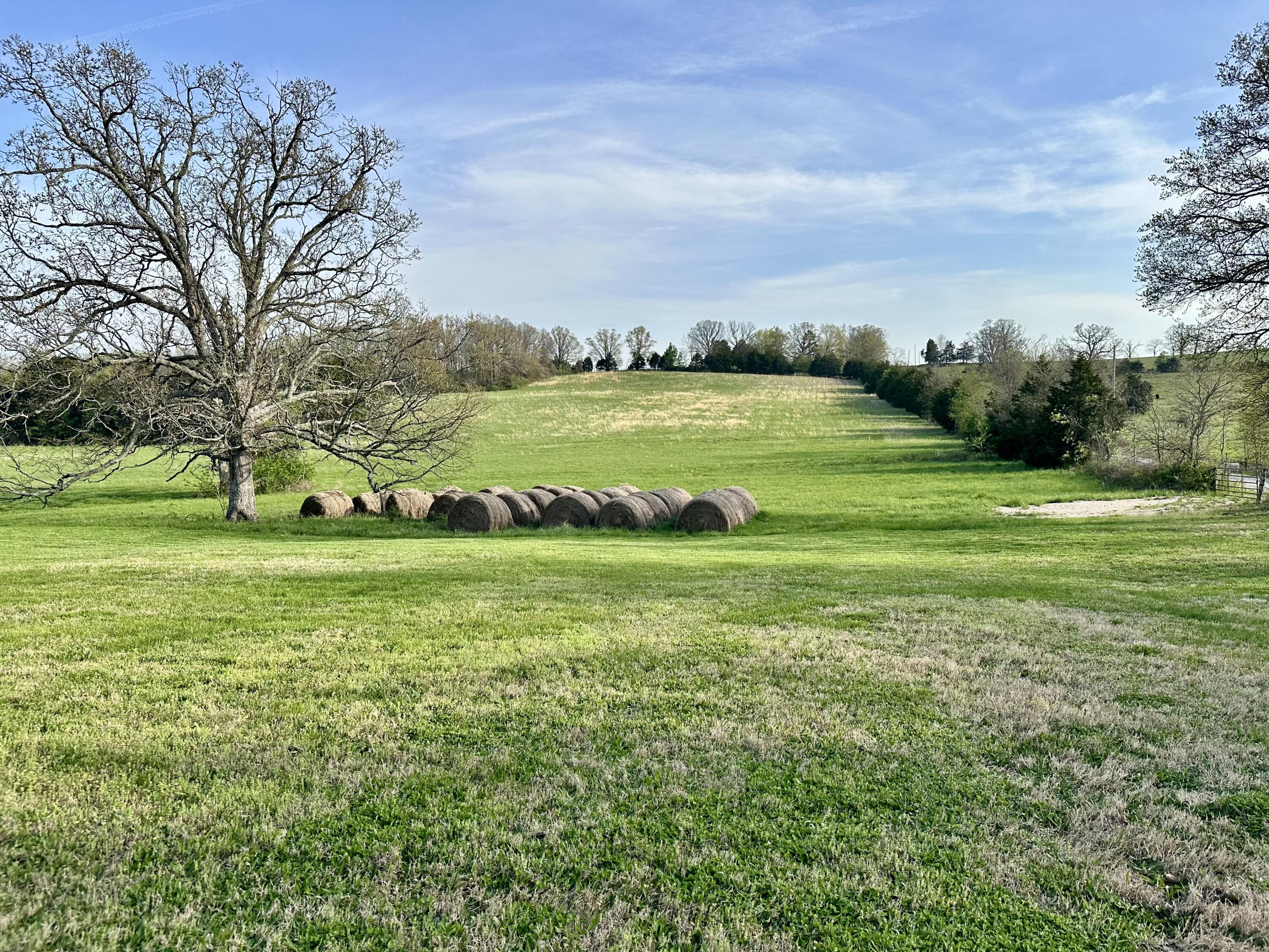 5230 Camp Road Property Photo 45