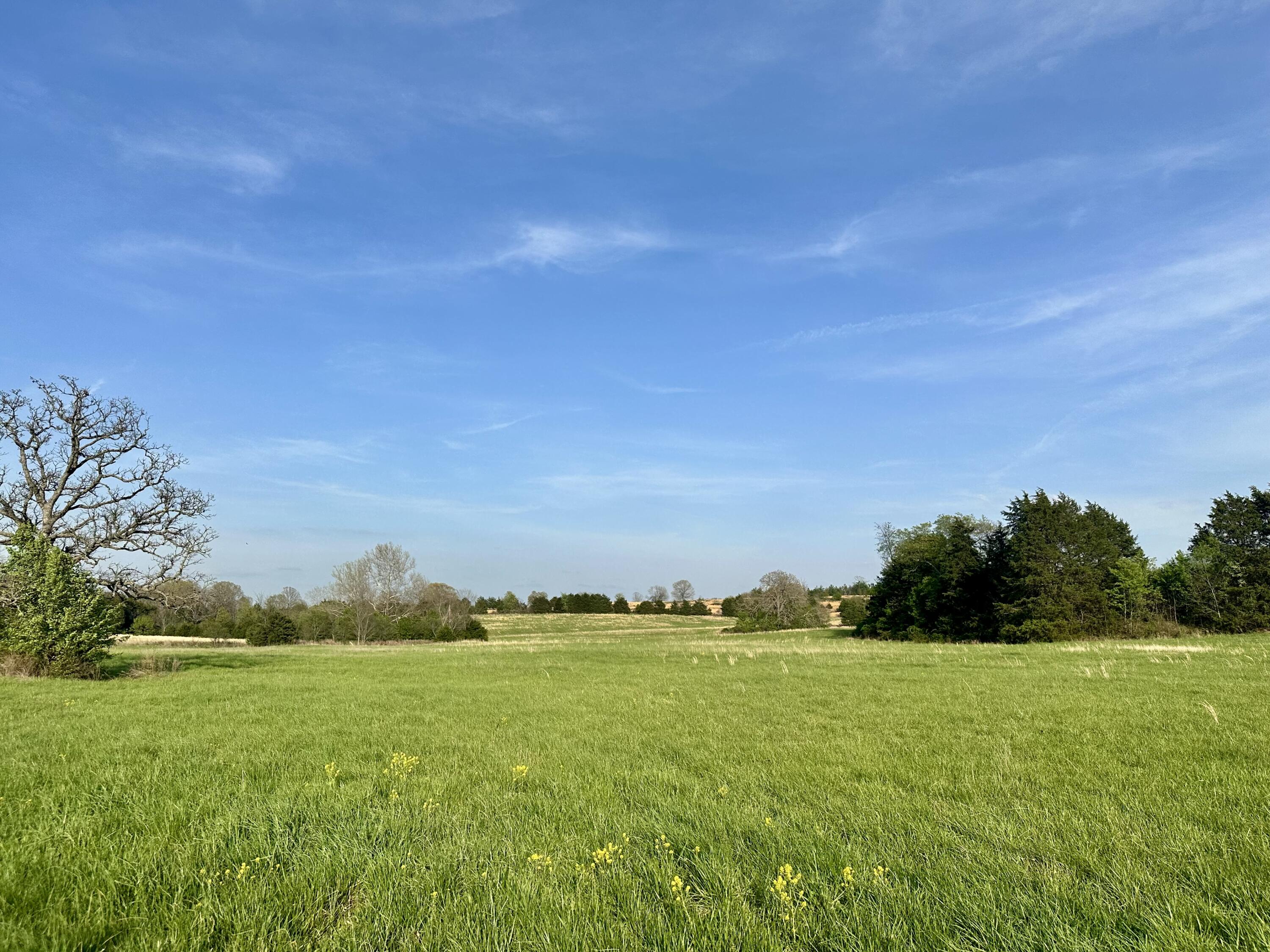 5230 Camp Road Property Photo 46