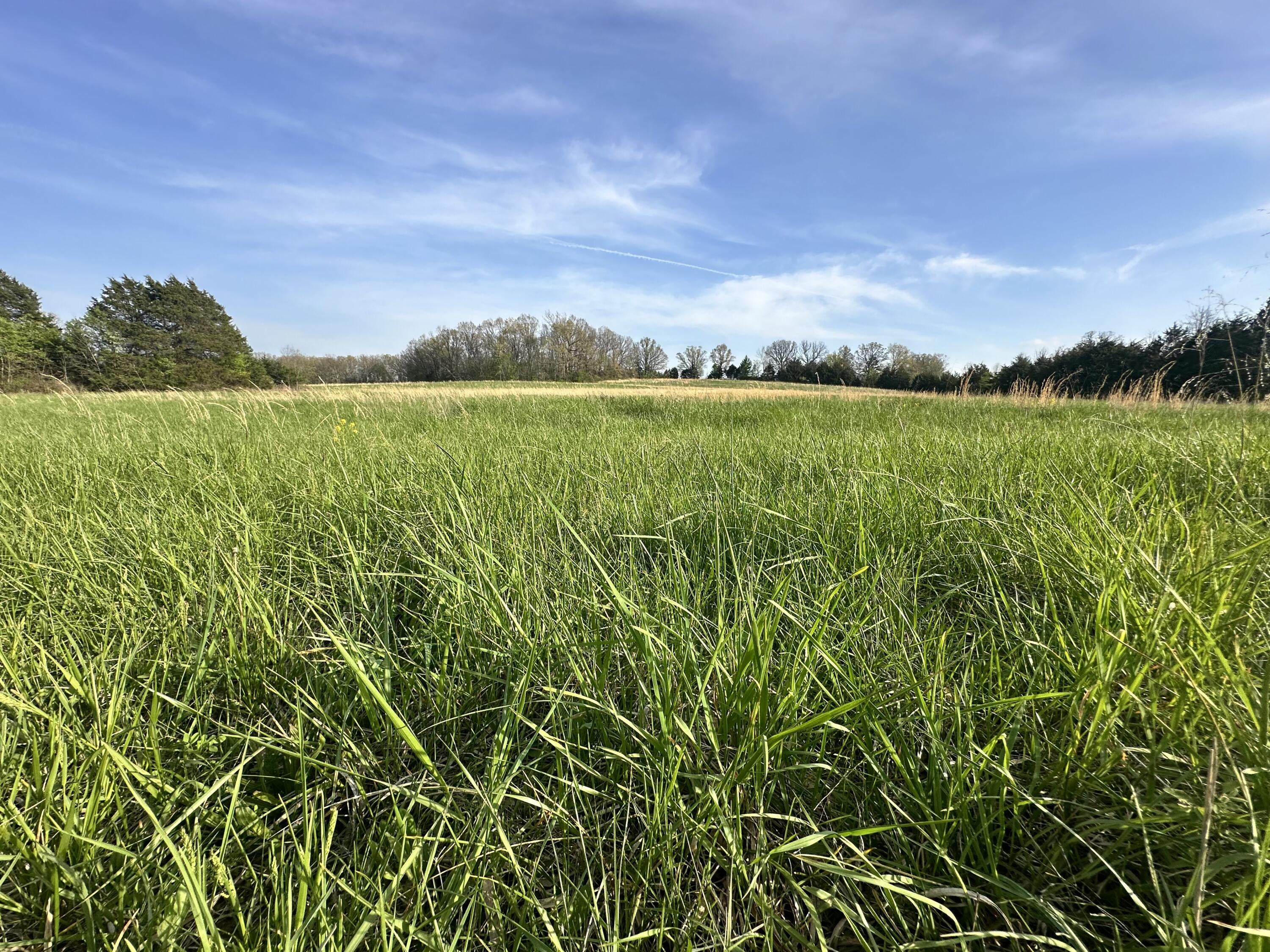 5230 Camp Road Property Photo 47