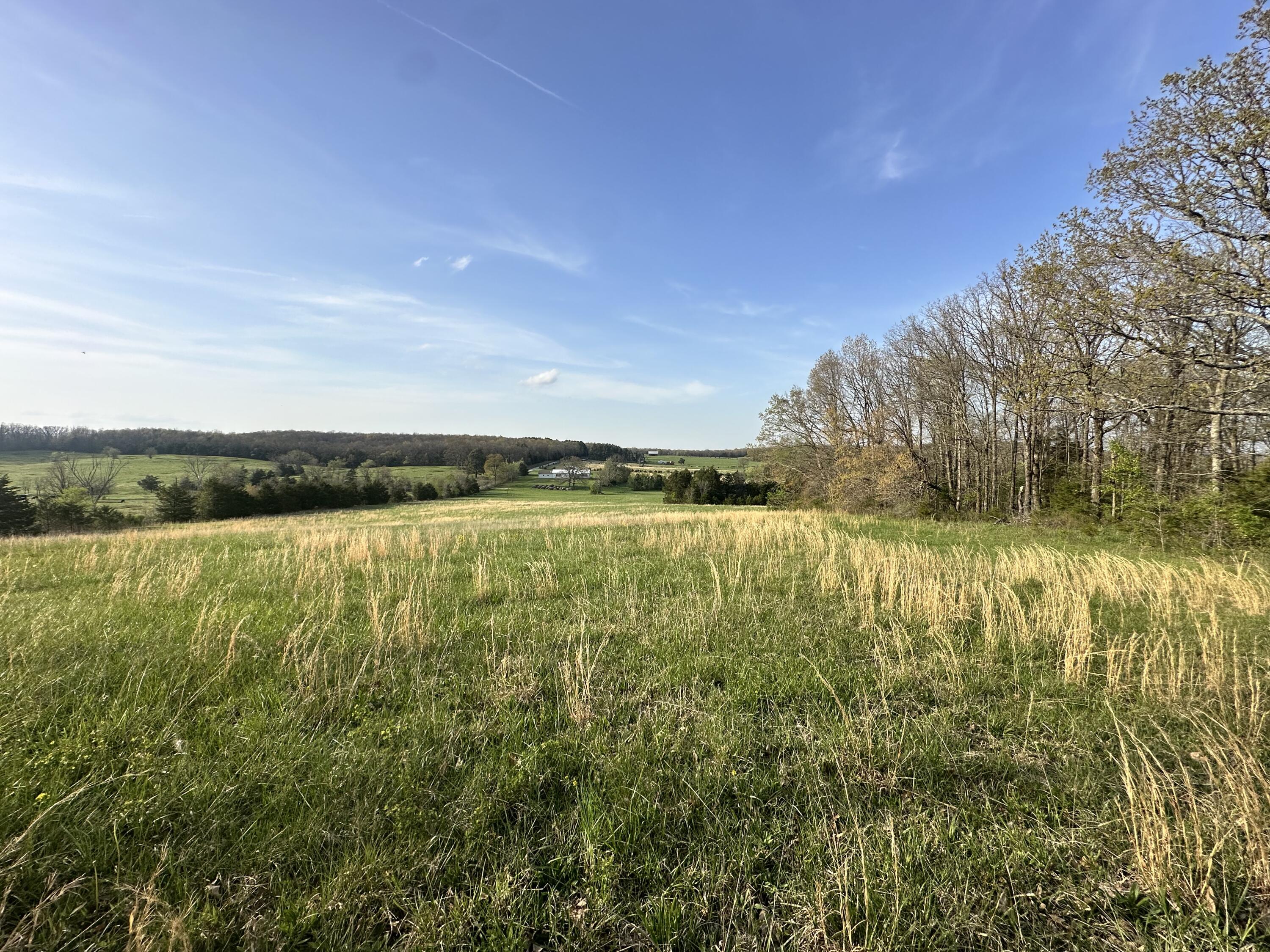 5230 Camp Road Property Photo 48