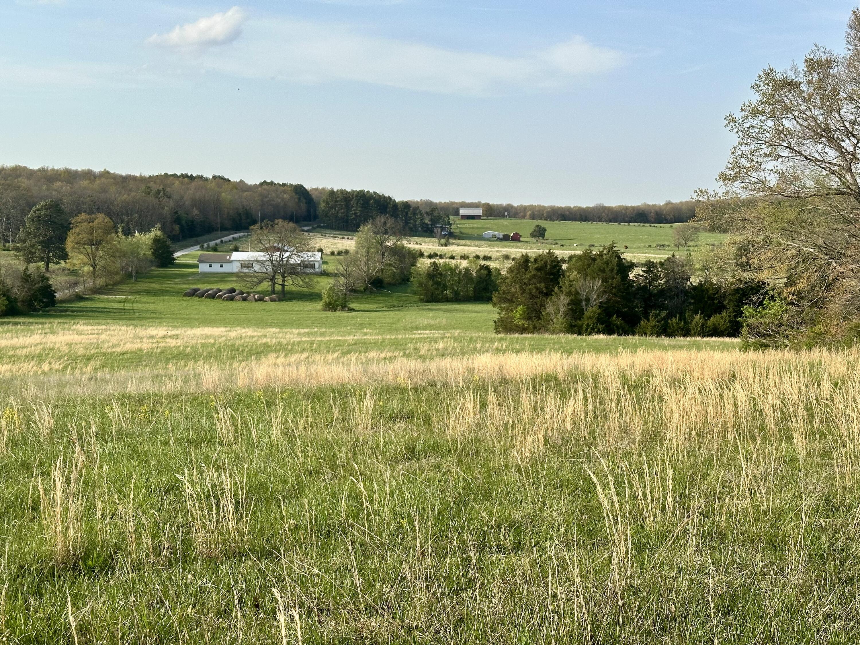 5230 Camp Road Property Photo 49