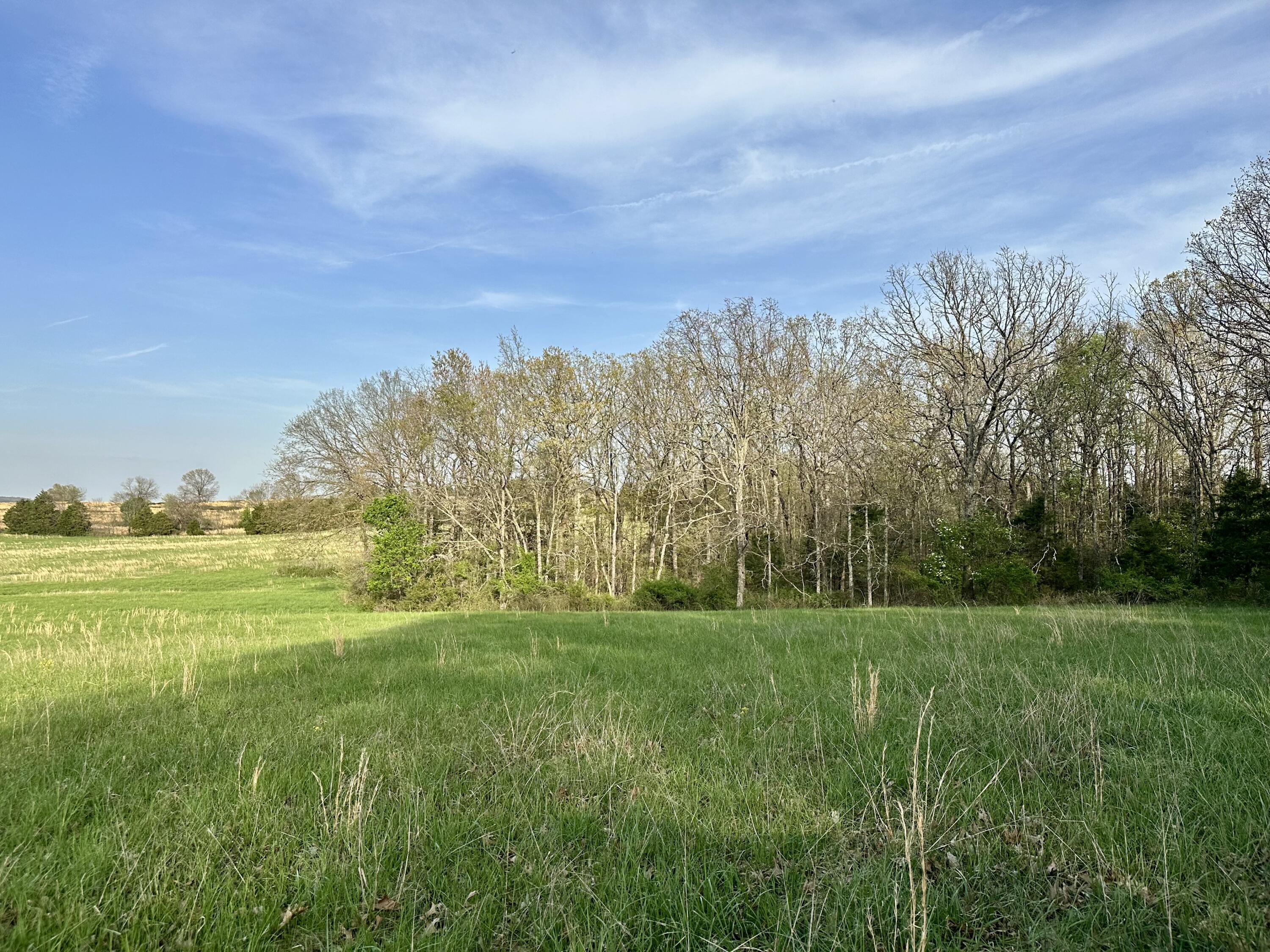 5230 Camp Road Property Photo 50