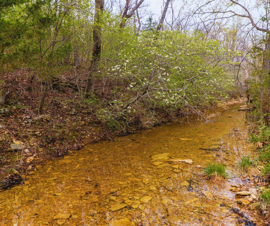 0000 Shelton Road