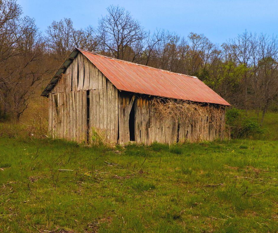 0000 Shelton Road Property Photo 5