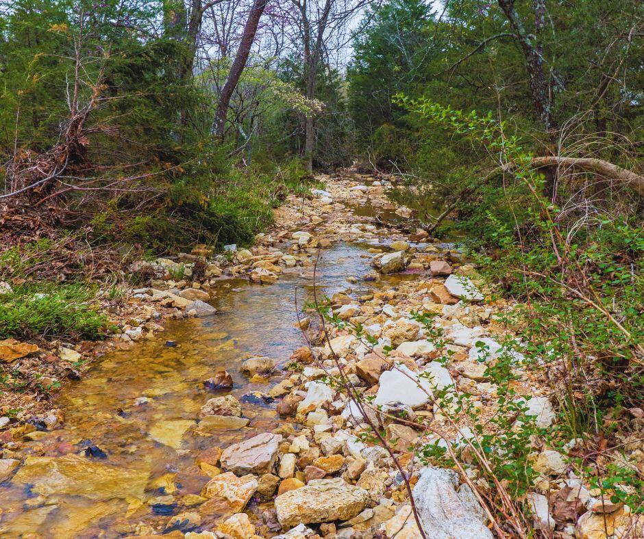 0000 Shelton Road Property Photo 7