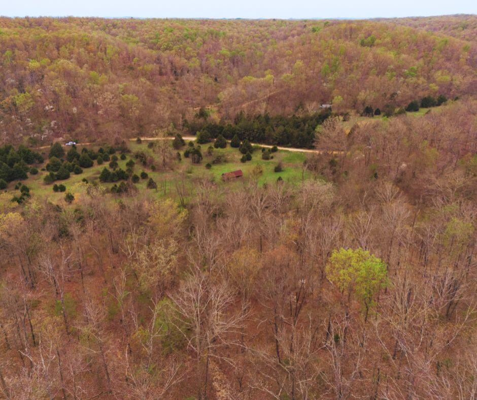 0000 Shelton Road Property Photo 13