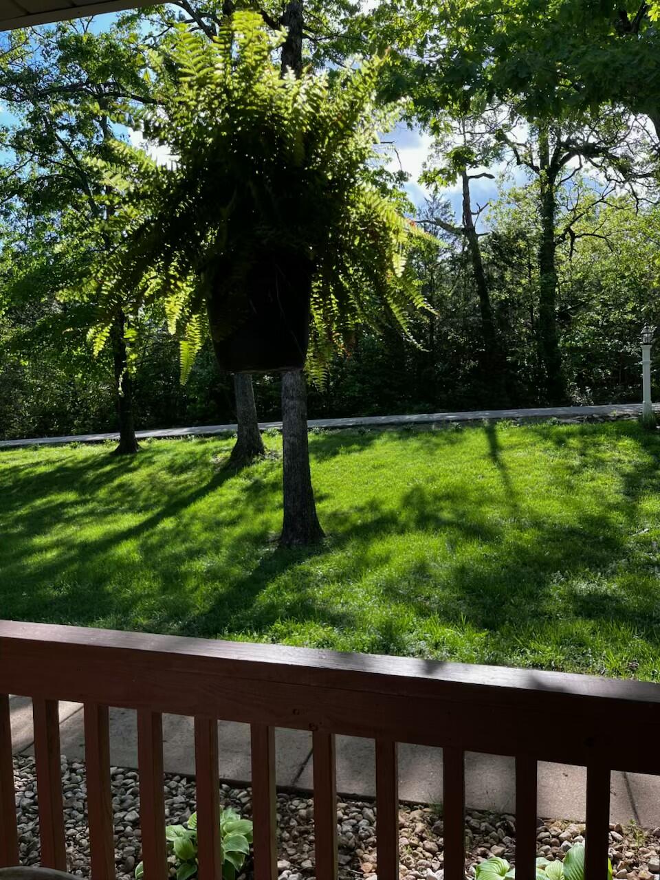 249 Mount Vernon Road Property Photo 58