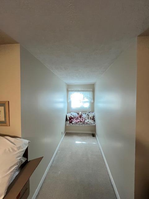 249 Mount Vernon Road Property Photo 72