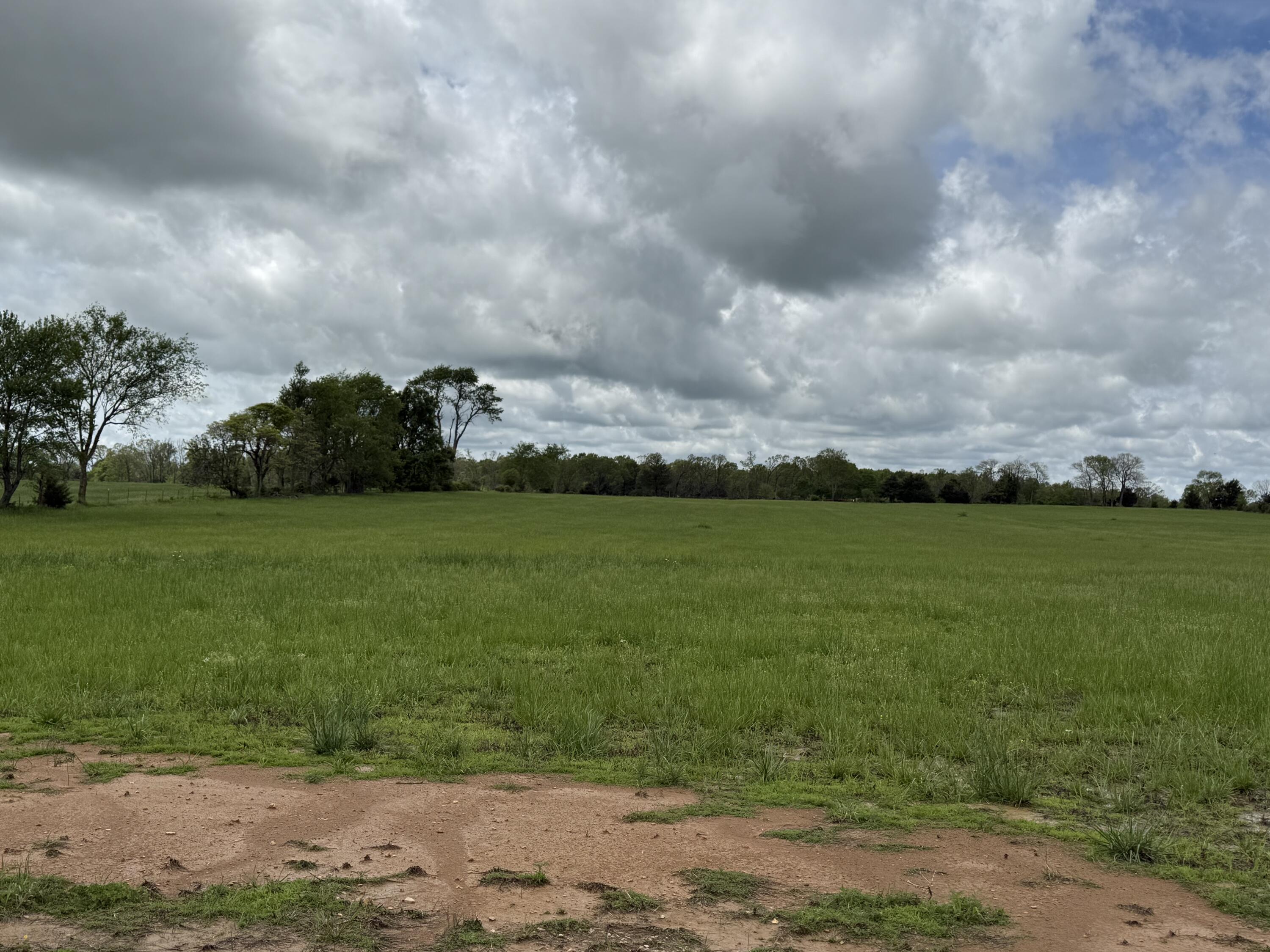 3205 Johns Ford Road Property Photo 21