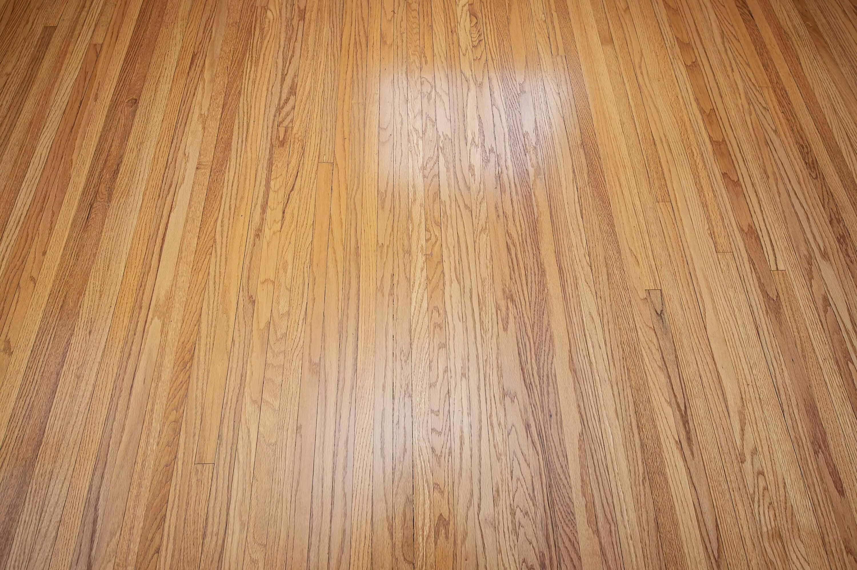 924 South Pickwick Avenue Property Photo 30