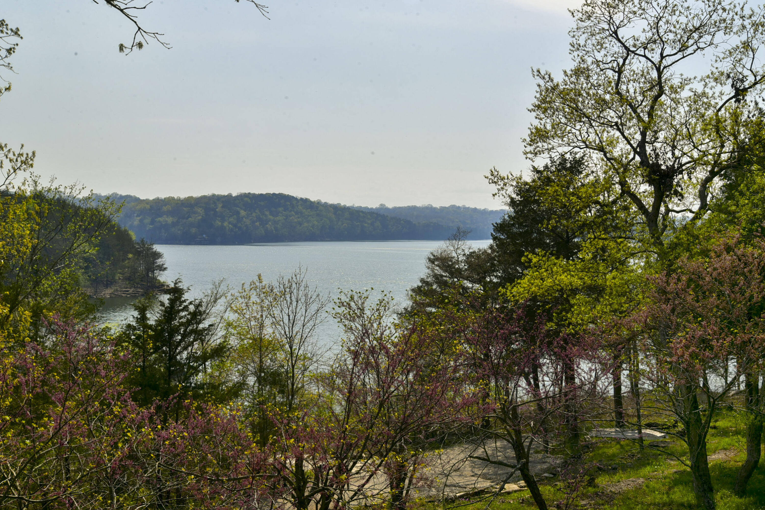 22389 Tucker Hollow Road Property Photo 6