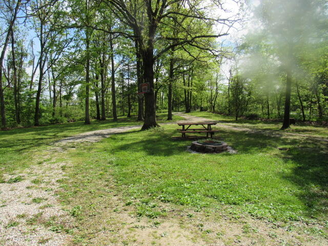 7210 Newkirk Road Property Photo 28