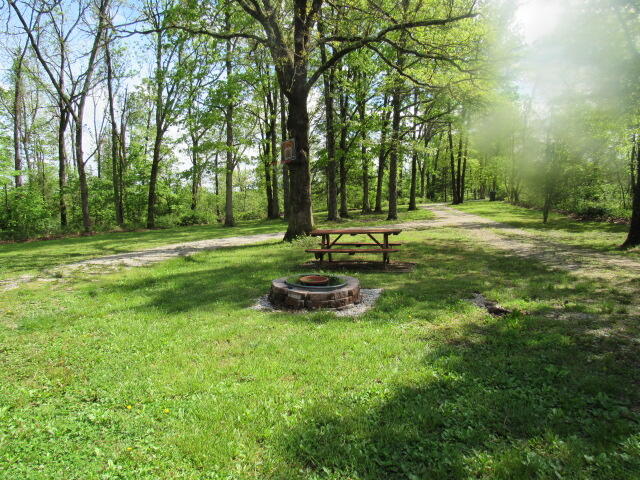 7210 Newkirk Road Property Photo 29
