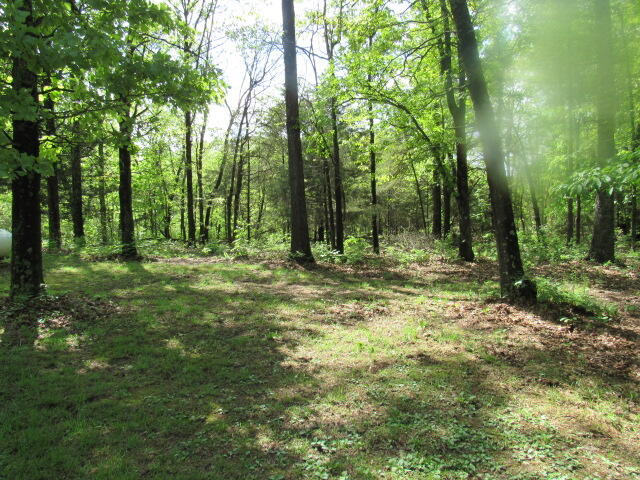 7210 Newkirk Road Property Photo 38