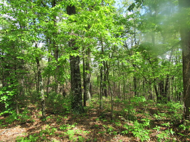 7210 Newkirk Road Property Photo 41