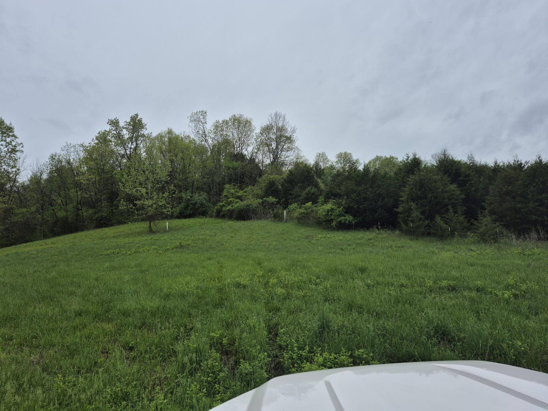 2572 Holt Woods Road Property Photo 30