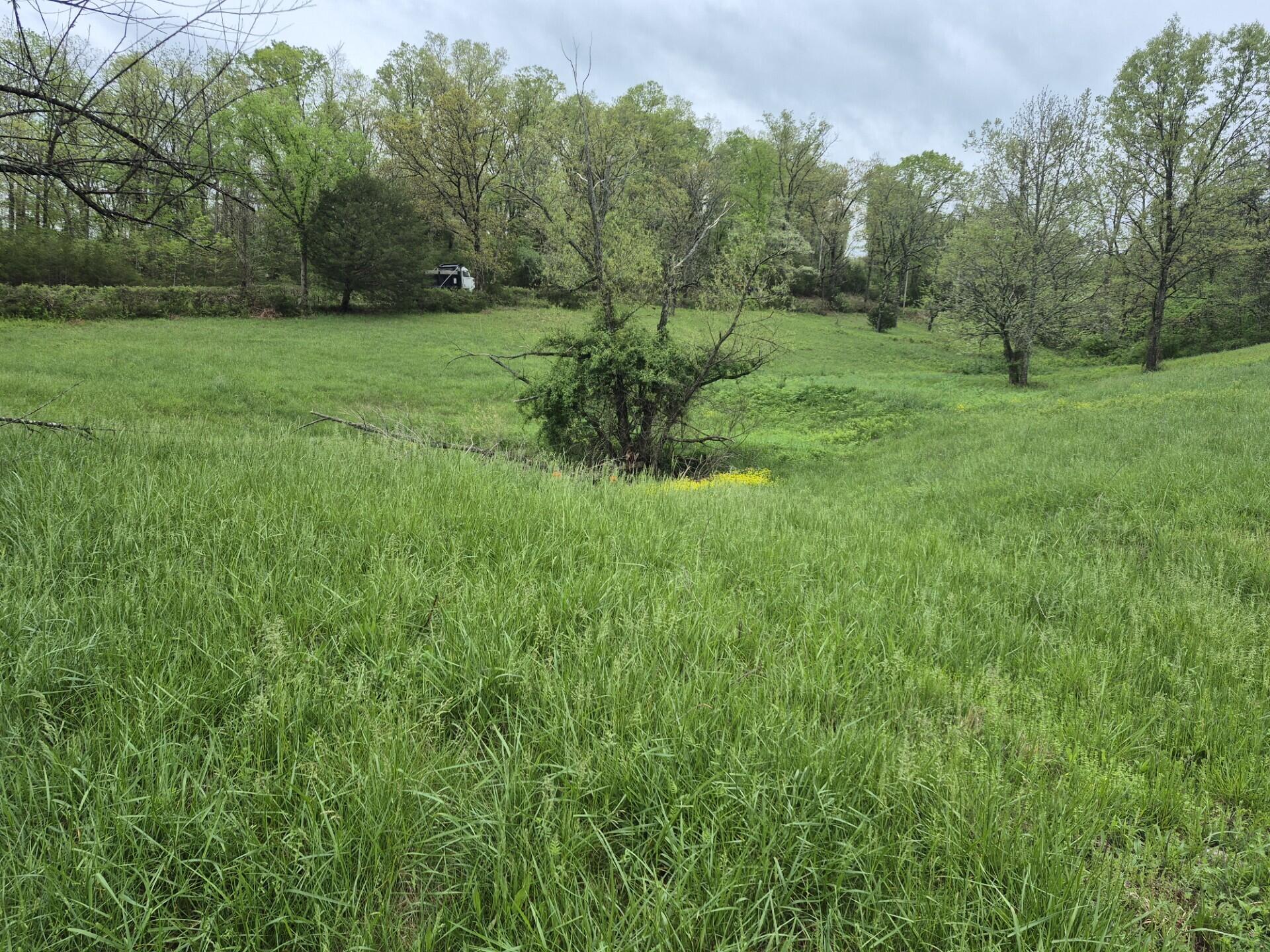 2572 Holt Woods Road Property Photo 32