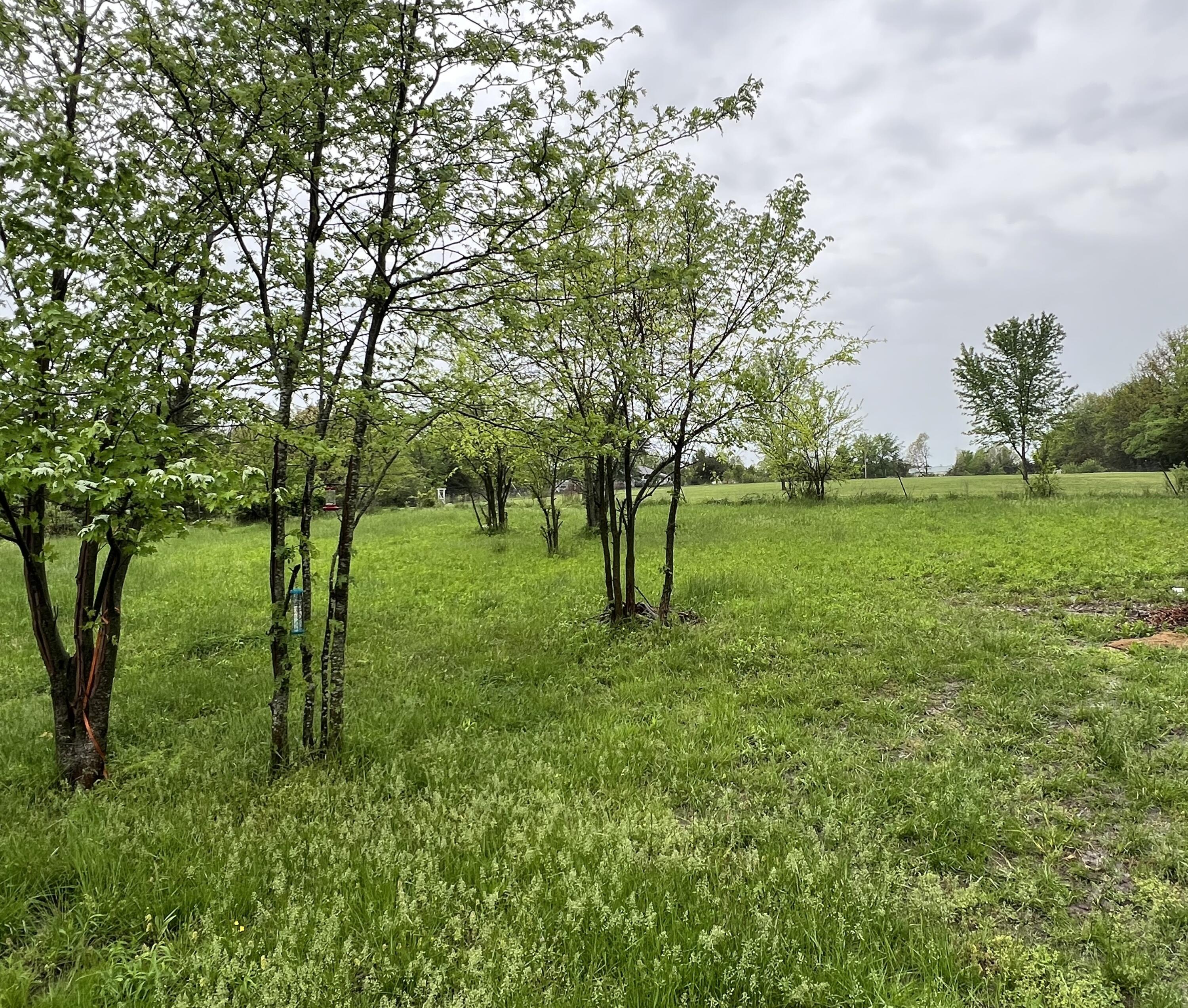 671 Tower Road Property Photo 14
