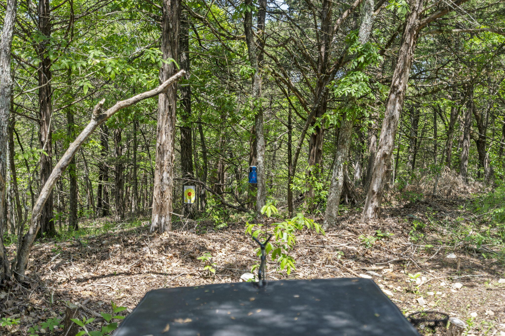 37 Skyline Drive Property Photo 53