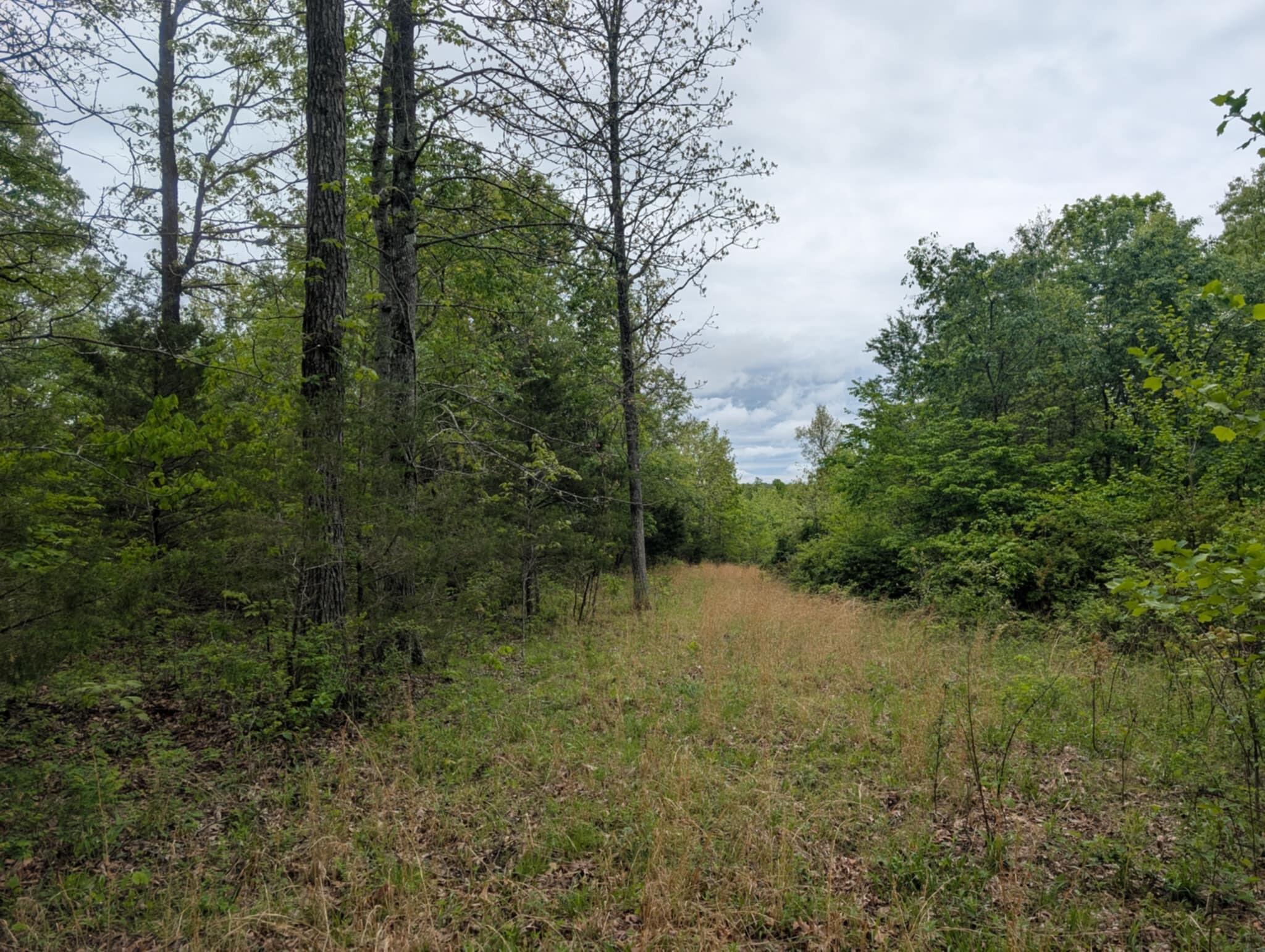 Tbd Highway E Property Photo