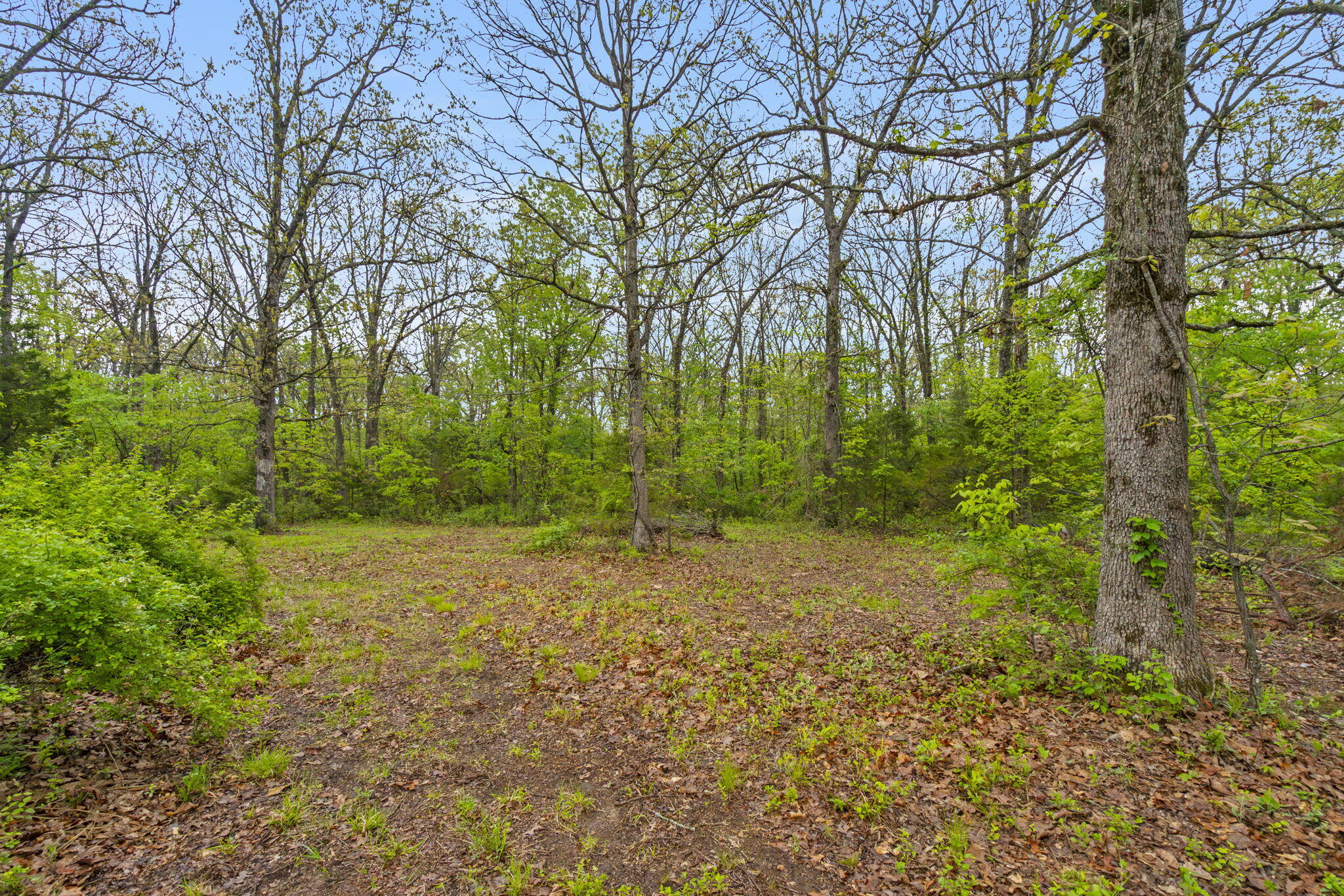 450 South Commercial Street Property Photo 5