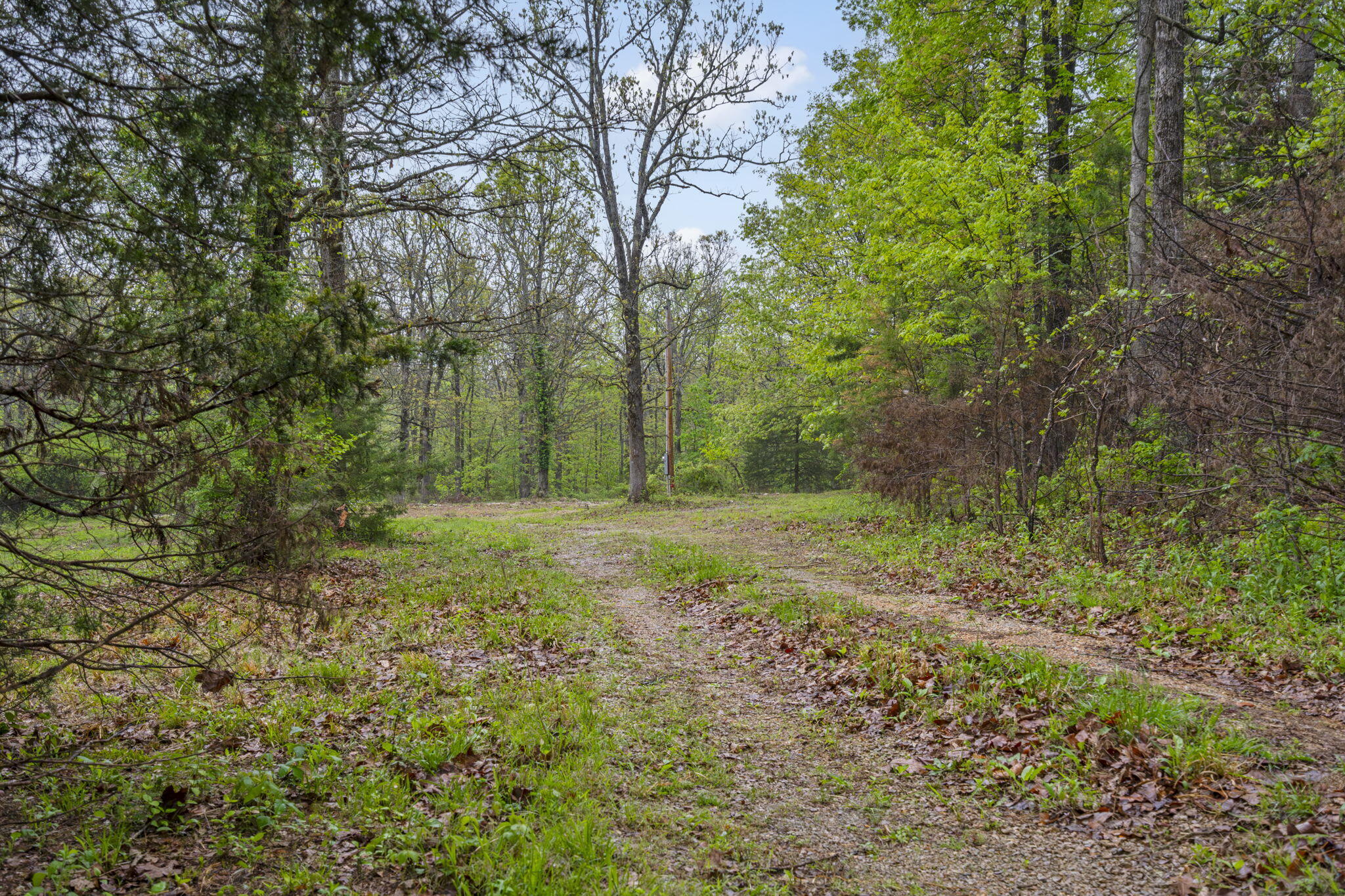 450 South Commercial Street Property Photo 7