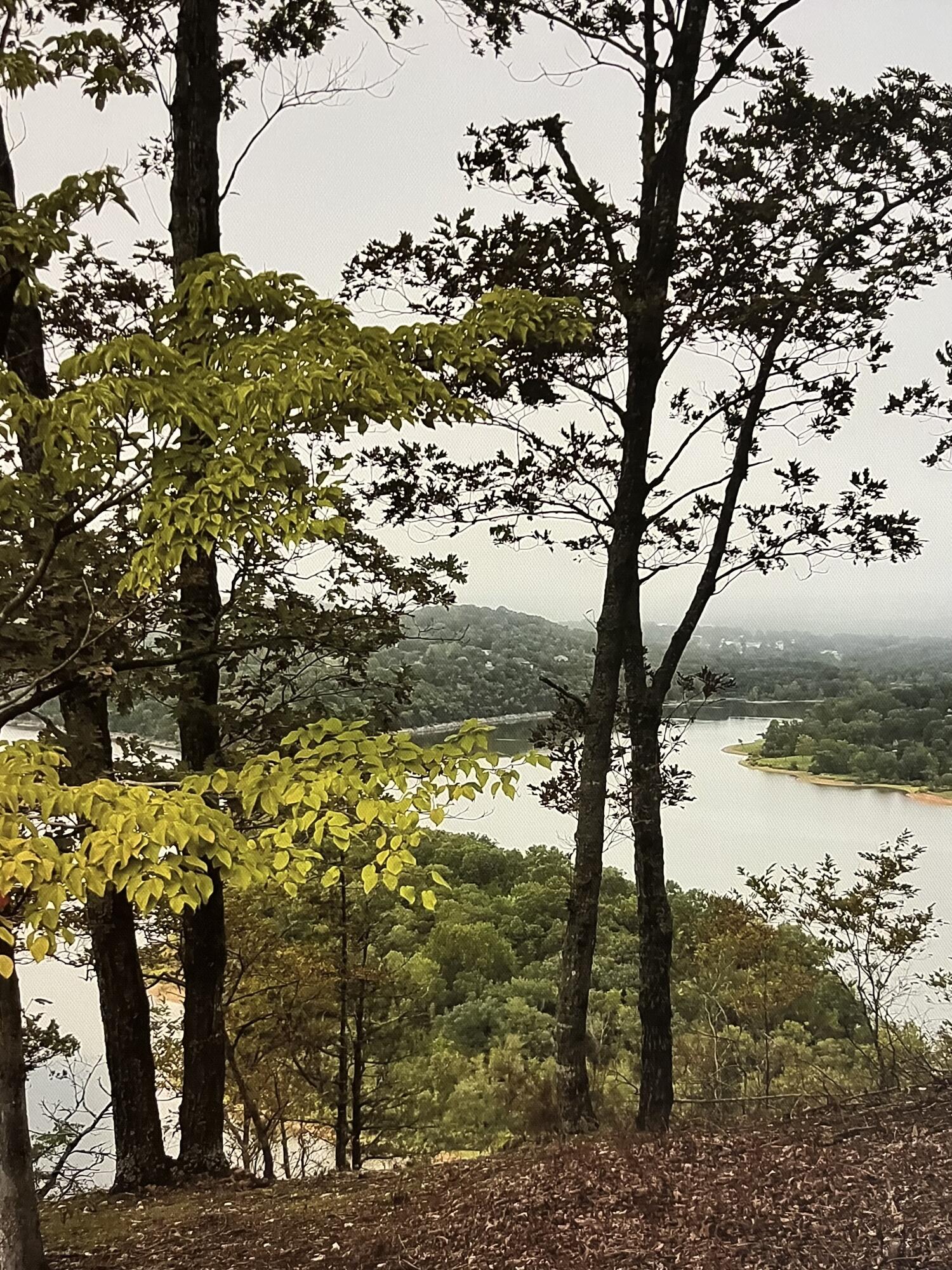 578 Y-20 Road Property Photo 2