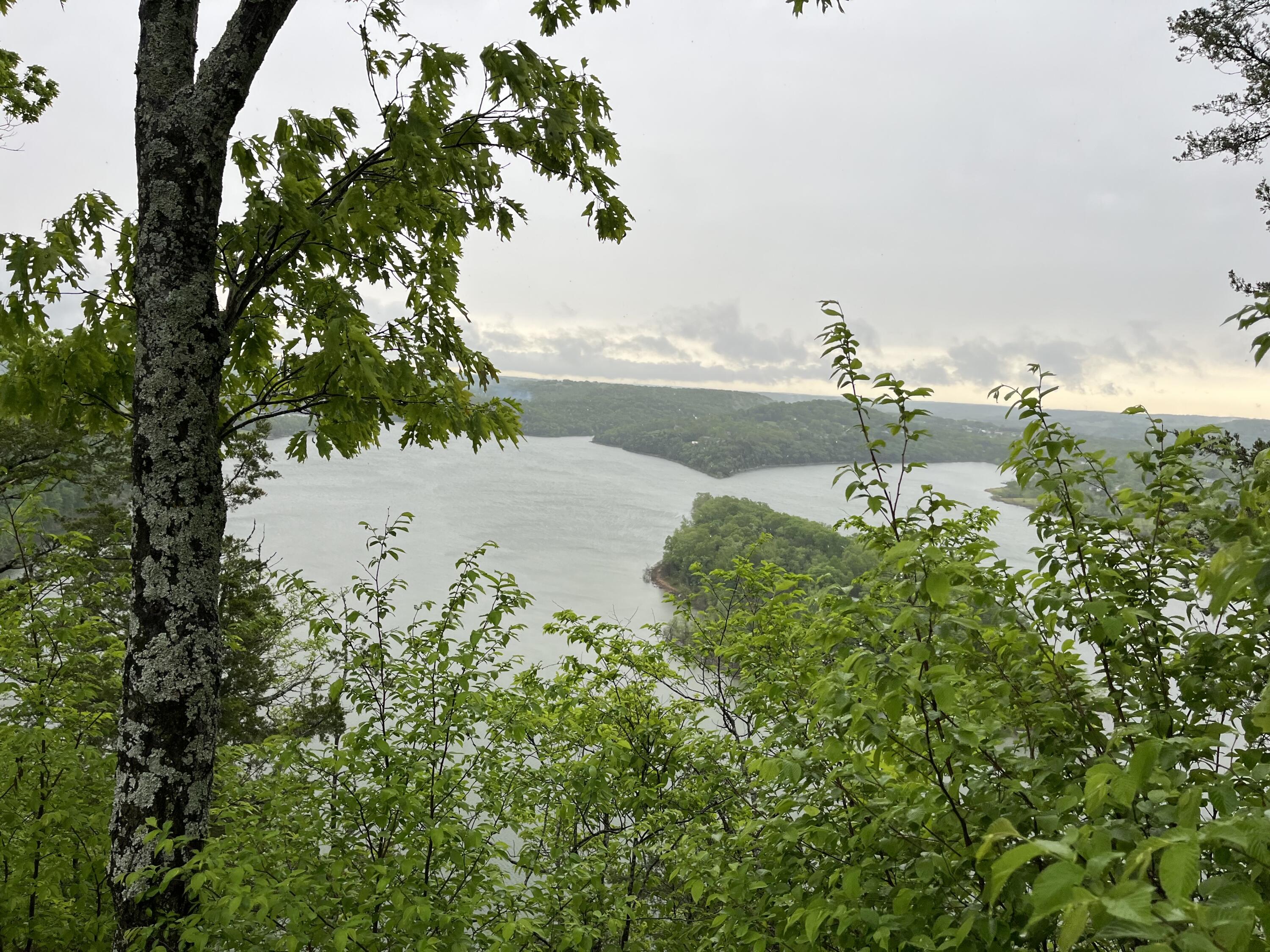 578 Y-20 Road Property Photo 4