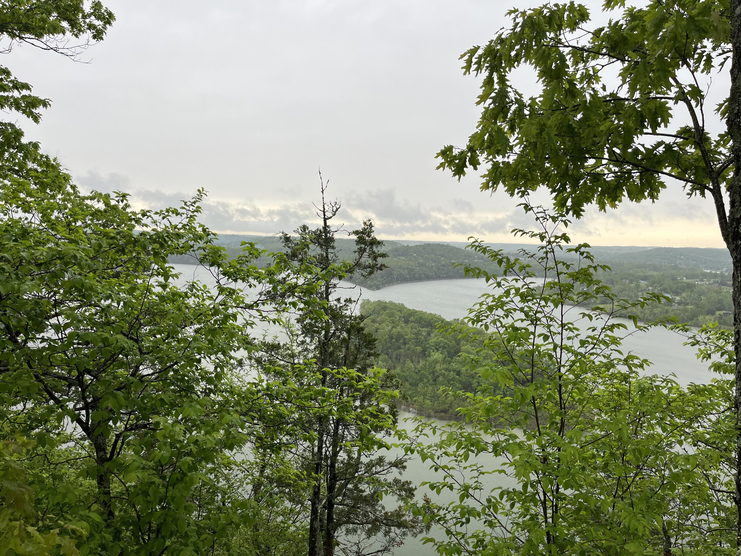 578 Y-20 Road Property Photo 36