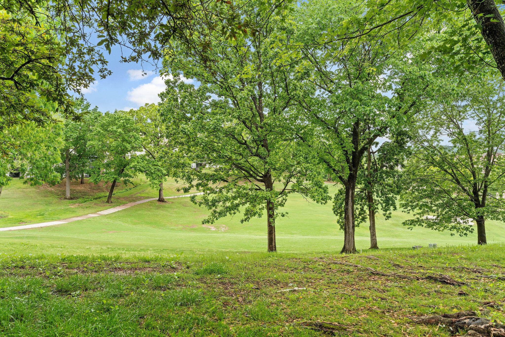187 Clubhouse Drive Property Photo 18