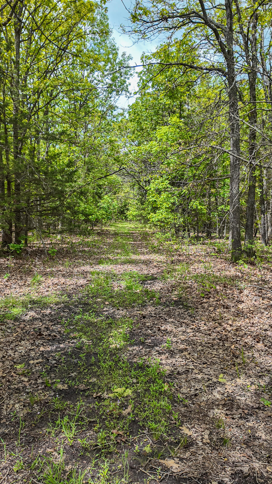 000 Northeast 50 Road Property Photo 12