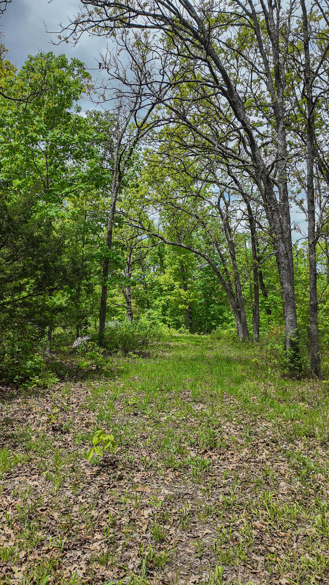 000 Northeast 50 Road Property Photo 16