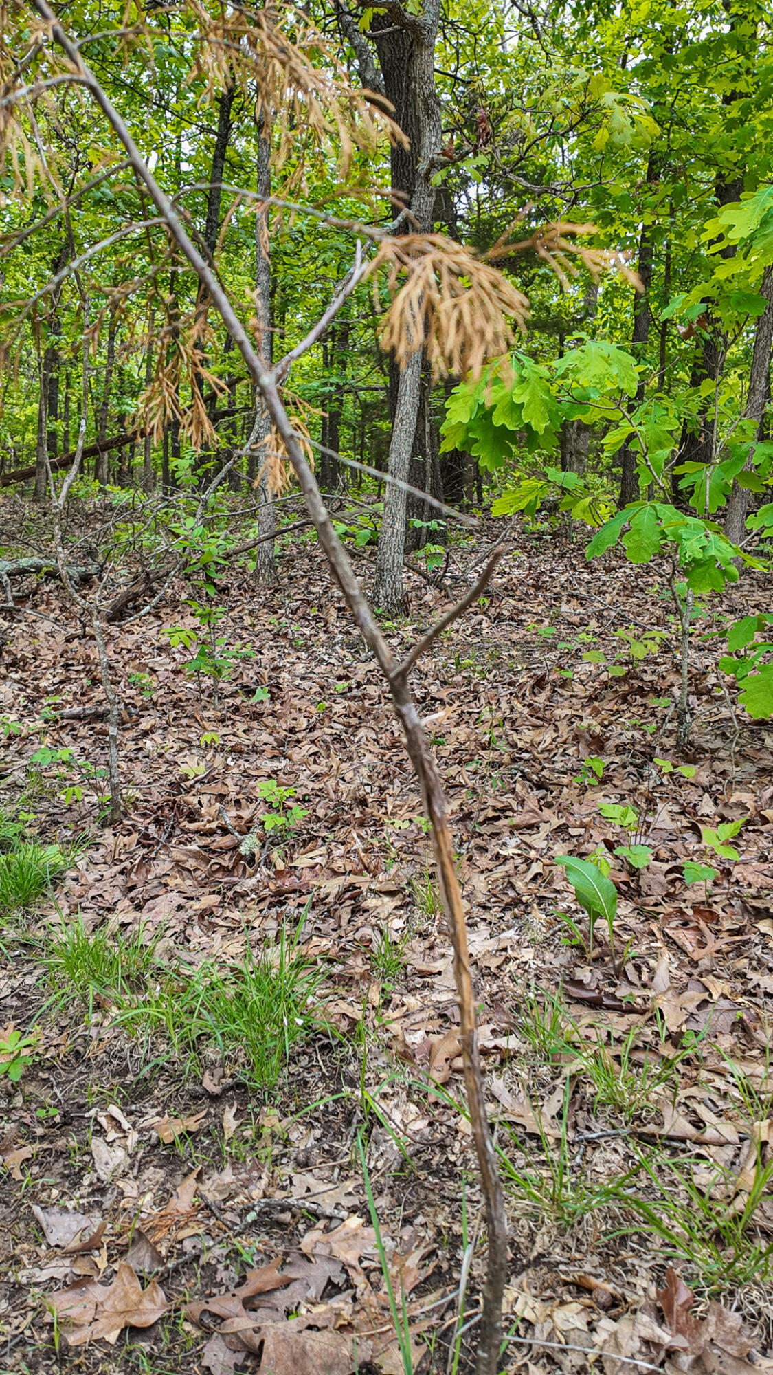 000 Northeast 50 Road Property Photo 19