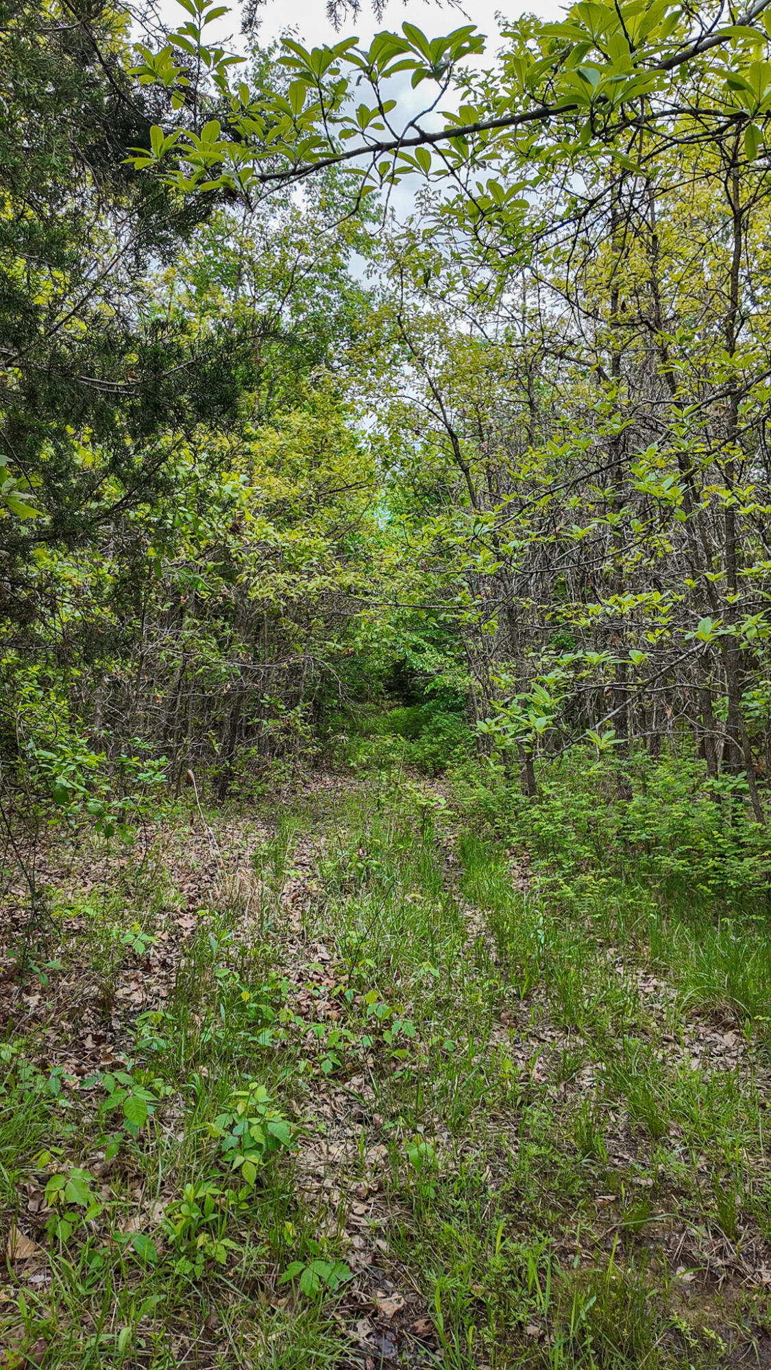 000 Northeast 50 Road Property Photo 32