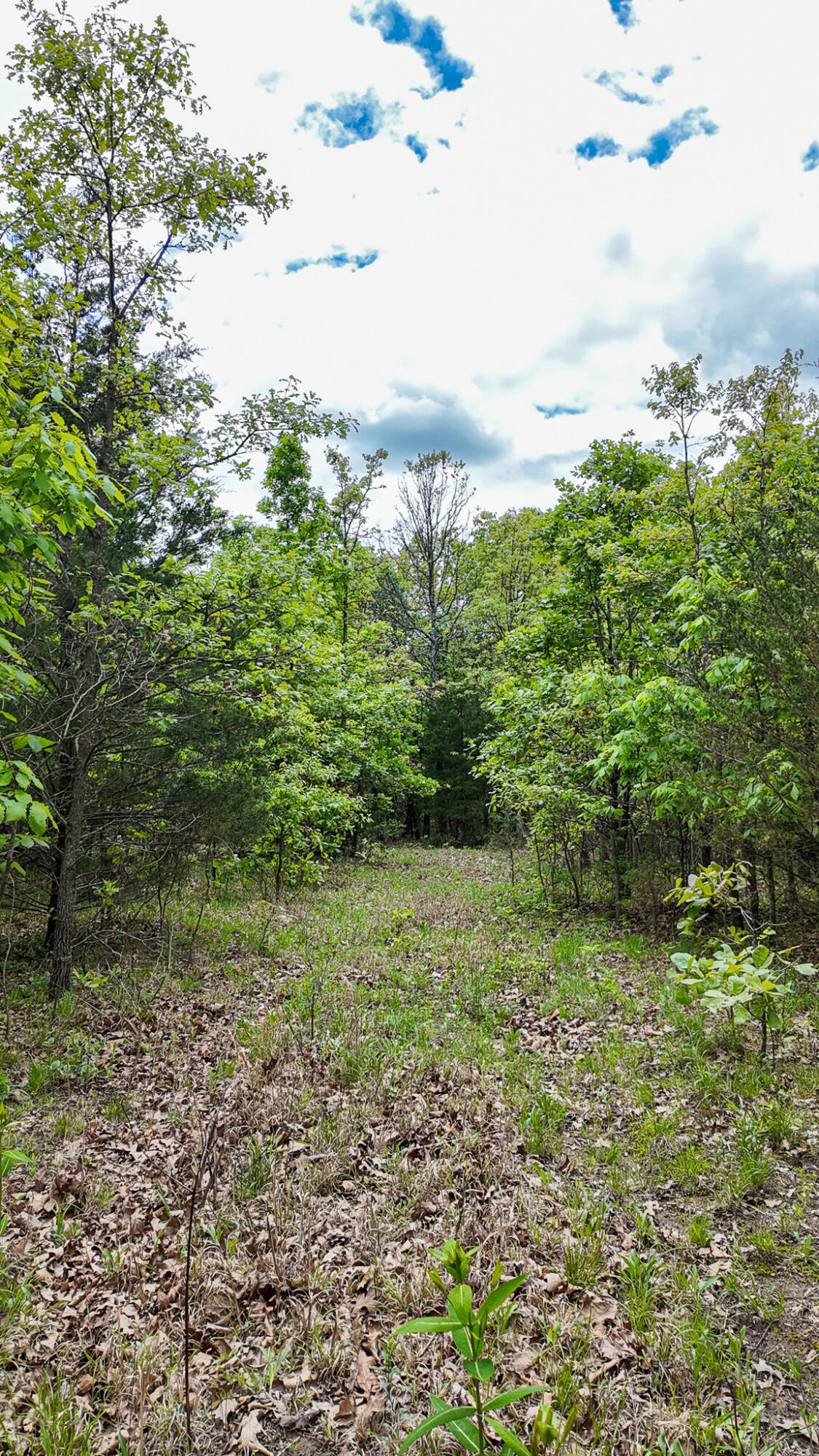 000 Northeast 50 Road Property Photo 35