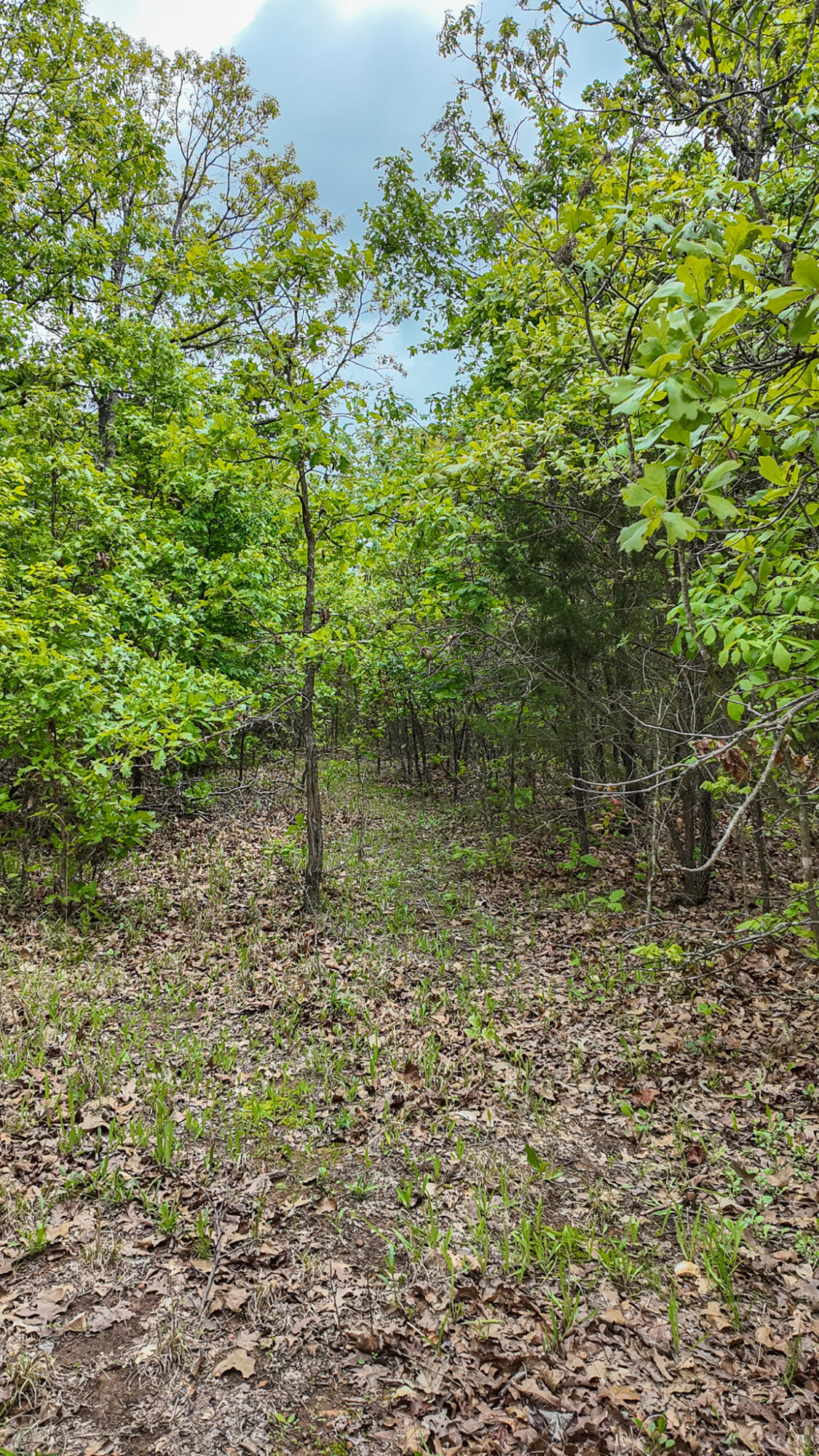 000 Northeast 50 Road Property Photo 37