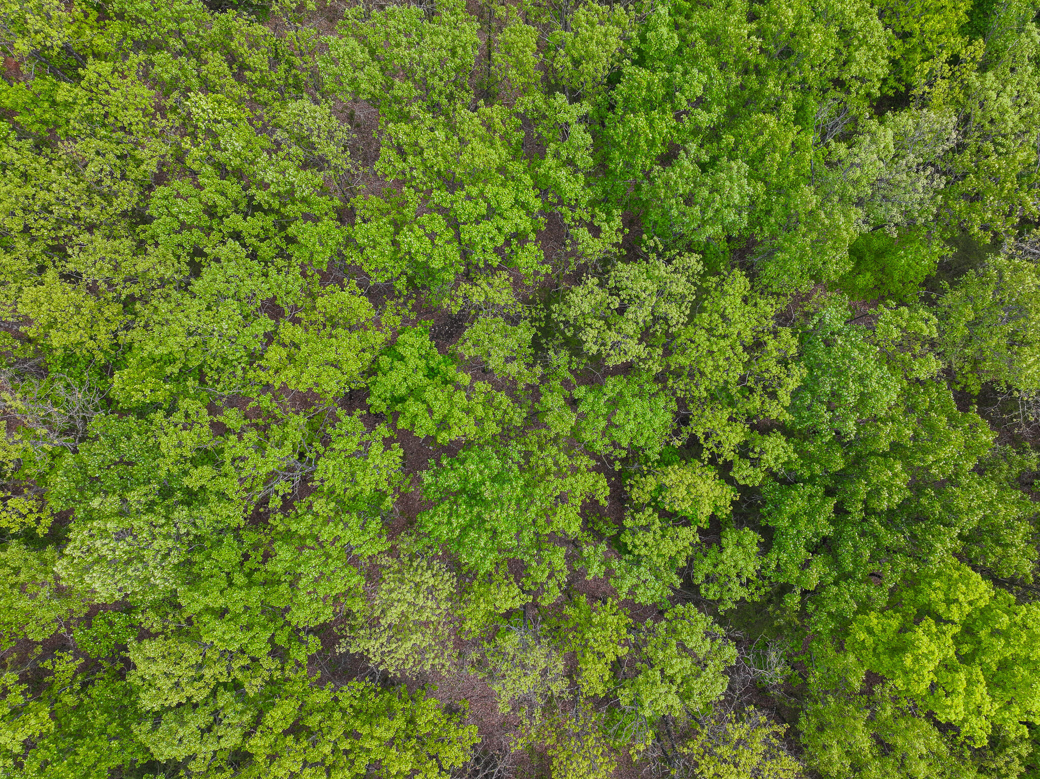 11375 Northeast 50 Road Property Photo 3