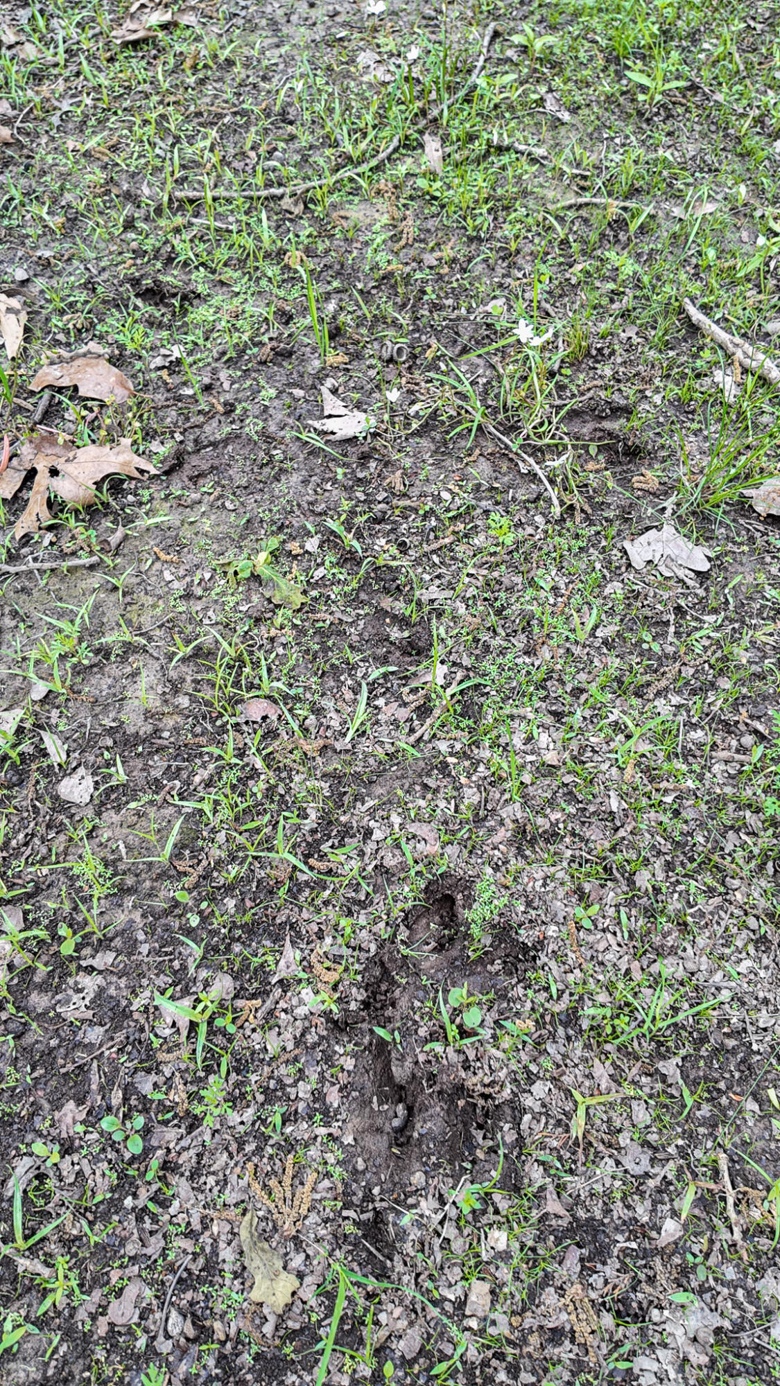 11375 Northeast 50 Road Property Photo 4