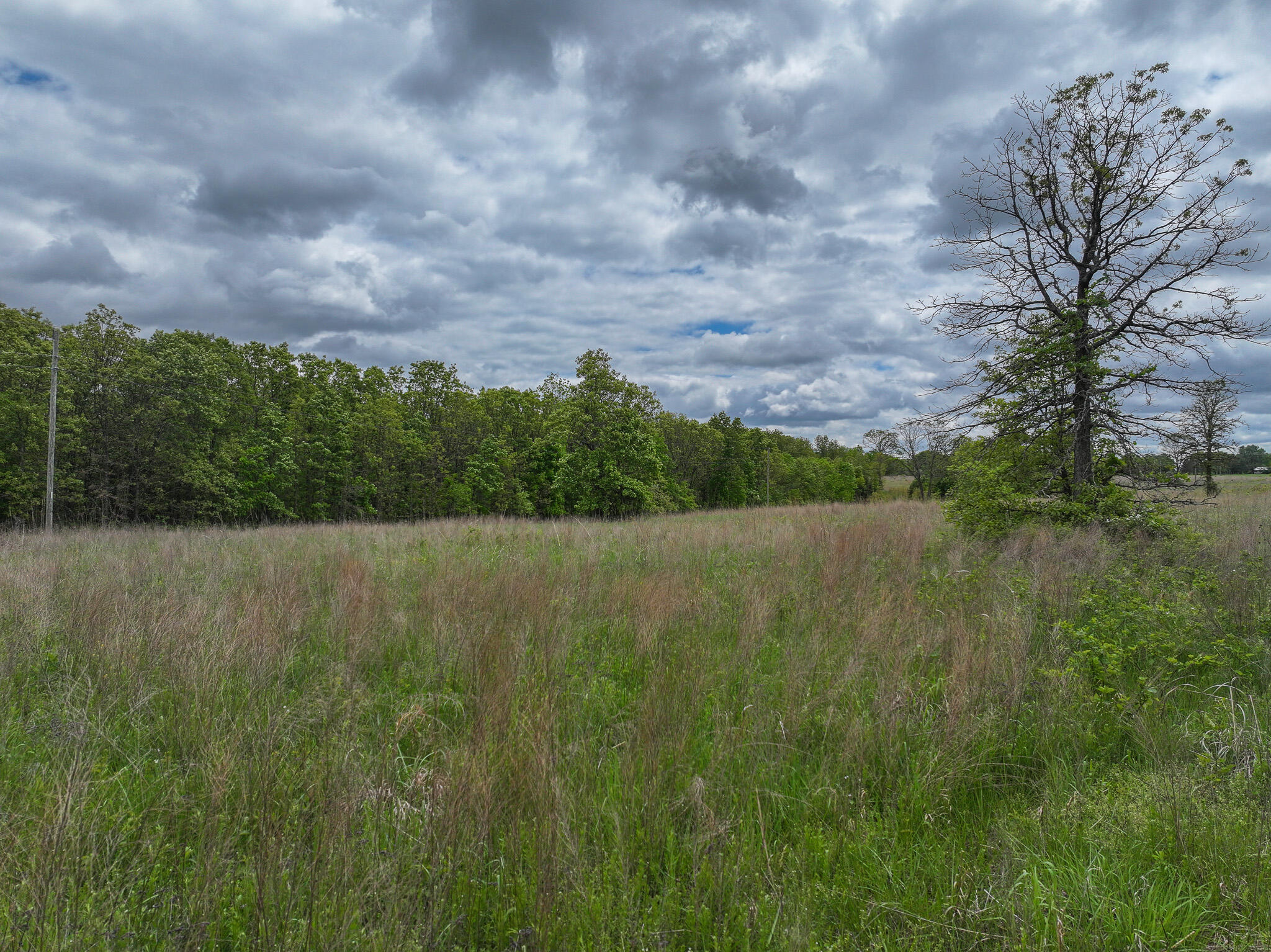 11375 Northeast 50 Road Property Photo 10