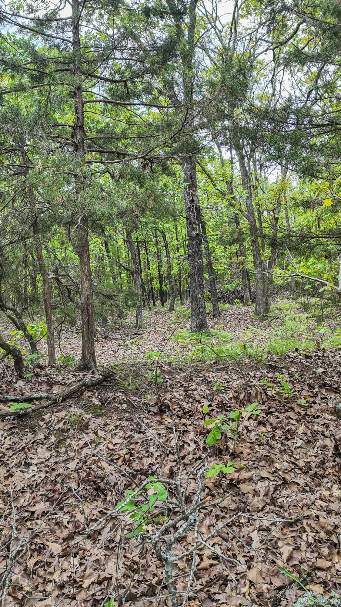 11375 Northeast 50 Road Property Photo 37