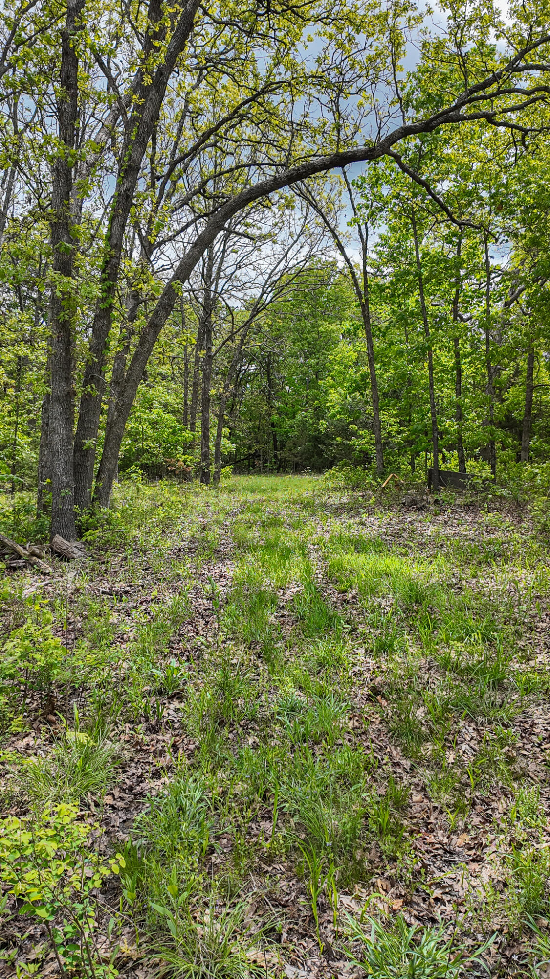 11375 Northeast 50 Road Property Photo 39