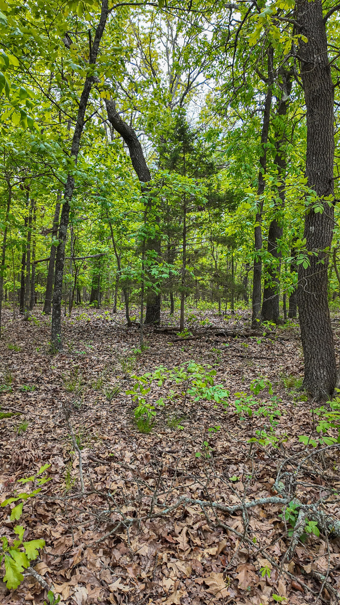 11375 Northeast 50 Road Property Photo 44