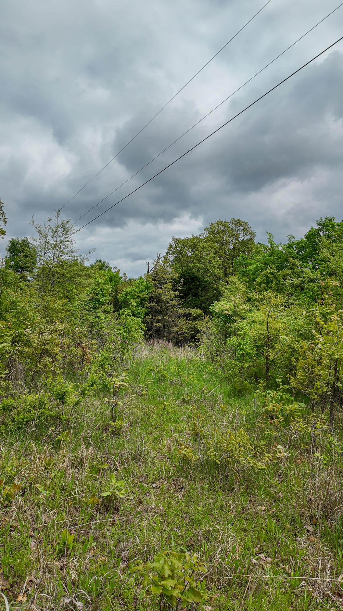 11375 Northeast 50 Road Property Photo 46