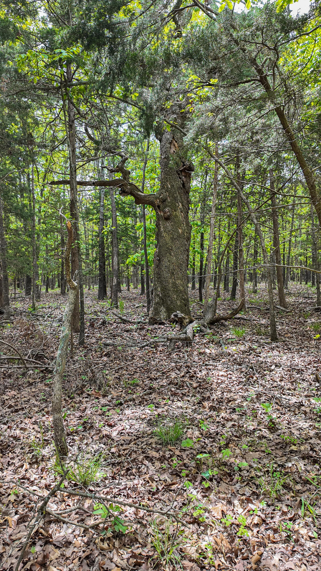 11375 Northeast 50 Road Property Photo 51