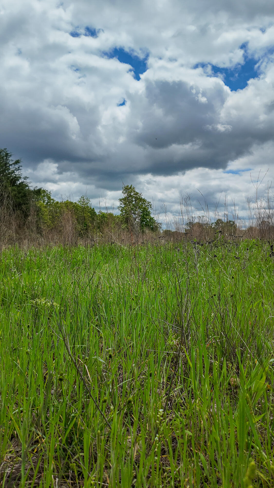 11375 Northeast 50 Road Property Photo 52